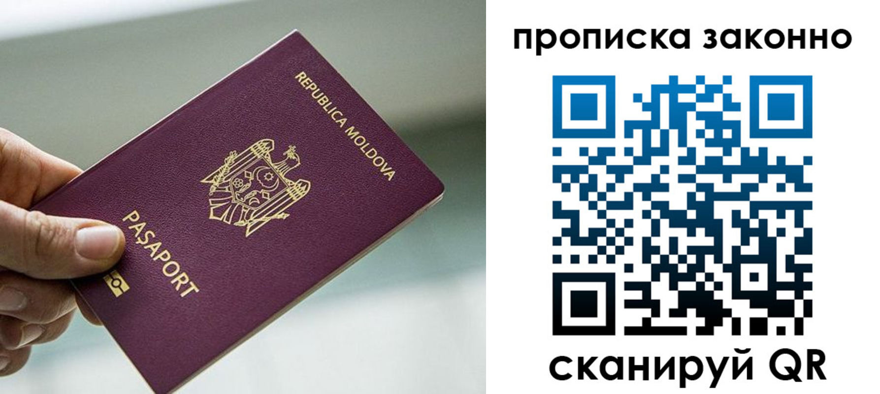 временная регистрация недорого в Курске